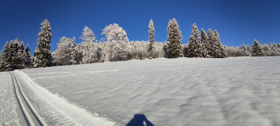Langlaufen