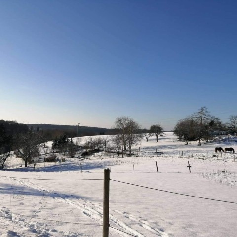 Winterlandschaft um die Ferienwohnung