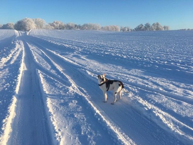 Umgebung im Winter