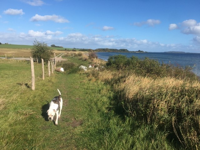 Naturstrand Altkamp