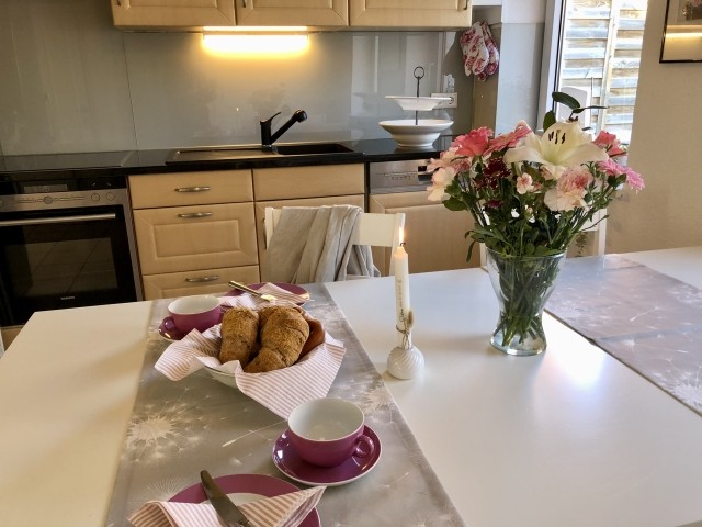 Die Küche ist umfangreich ausgestattet