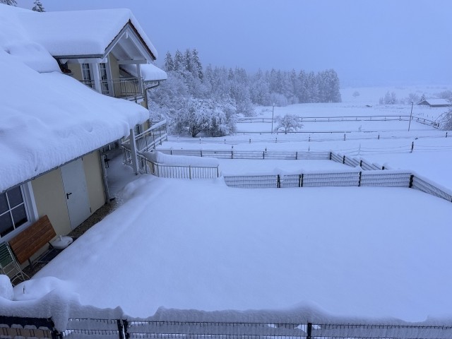 Eingeschneit Eingeschneit