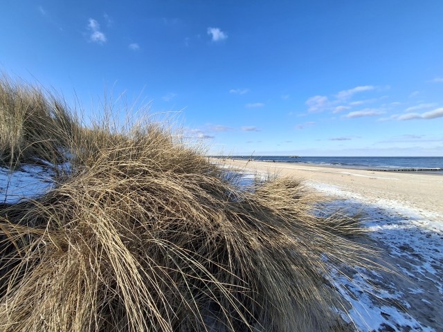 Strandimpressionen Strandimpressionen