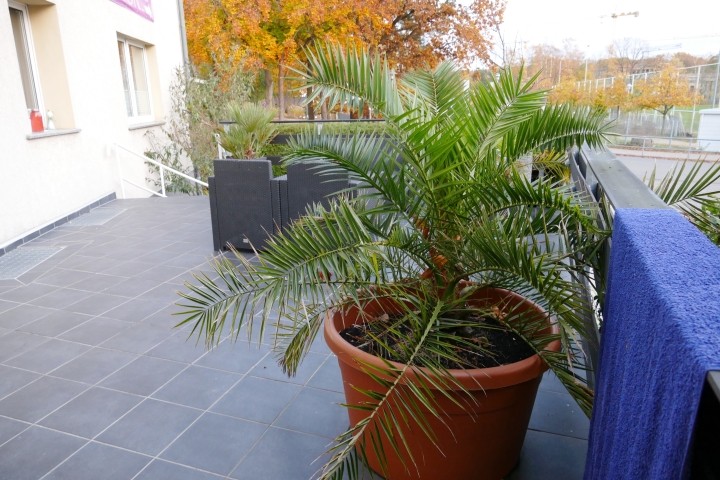 Gemeinschaftsterrasse Gemeinschaftsterrasse