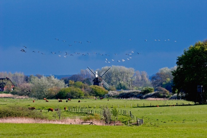 Die Geltinger Birk - idyllische Natur im Naturschutzgebiet, ruhige Umgebung