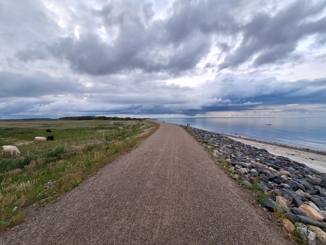 Wander- und Fahrradweg an der Ostsee