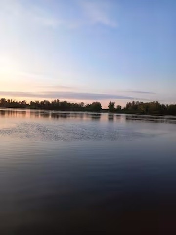 Elbe