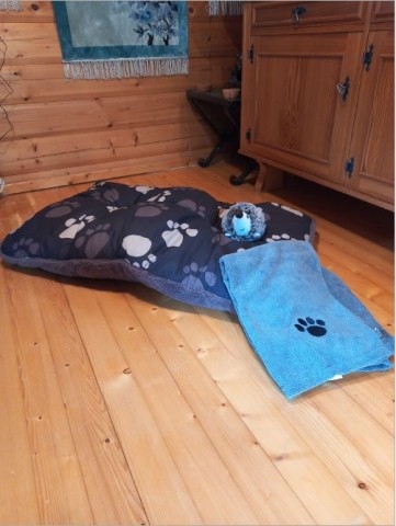Hundeplätzchen