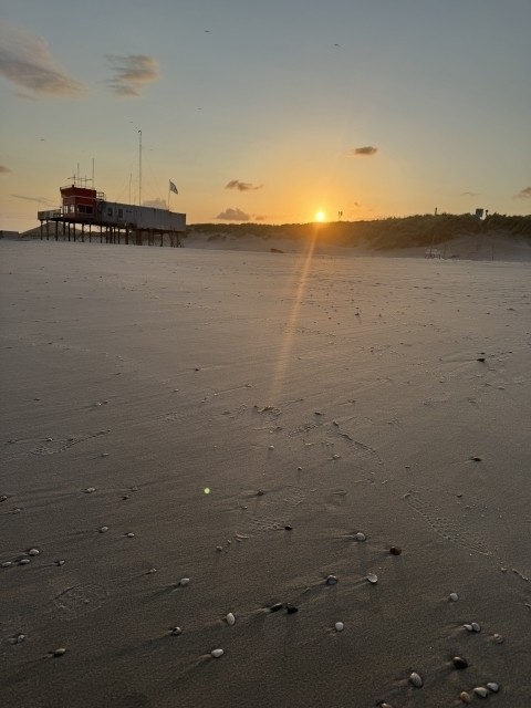 Holland im Herbst- einsame Strände genießen  Holland im Herbst- einsame Strände genießen