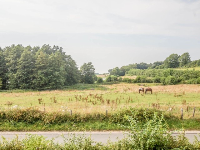 blick-aus-dem-fenster-zur-strasse