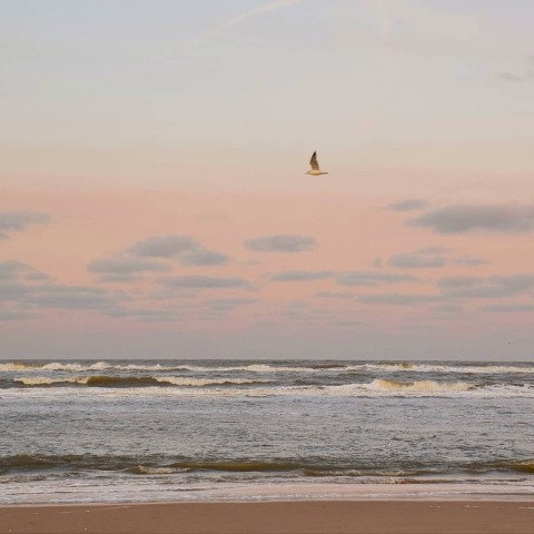 das Meer ab 5 minuten