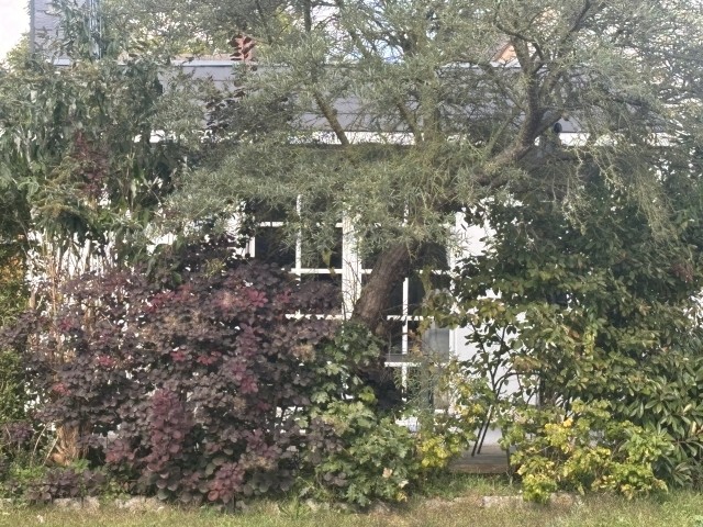 Aus dem Garten auf die Terrasse, wer es versteckt mag  Aus dem Garten auf die Terrasse, wer es versteckt mag