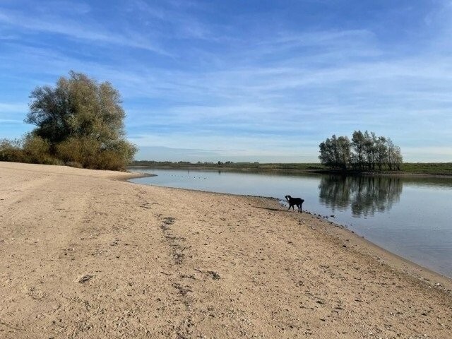 Hunde sind im Park recht herzlich willkommen