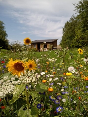 Pony- und Kleintierstall