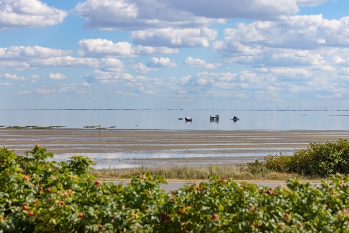Terrasse mit Meerblick Terrasse mit Meerblick