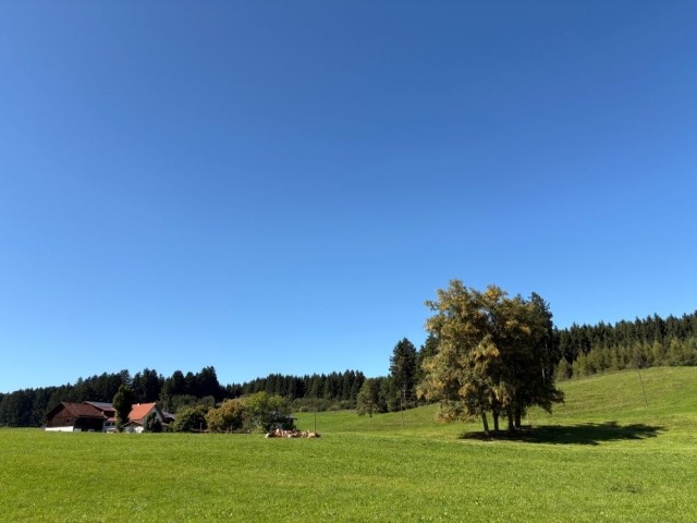 Natur pur! Natur pur!