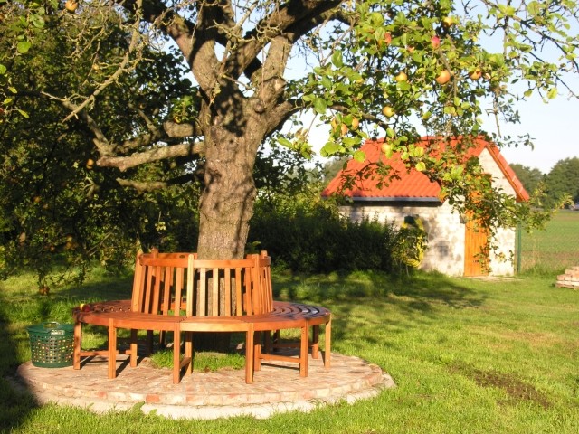 Herbstzeit am Apfelbaum vorm Haus Herbstzeit am Apfelbaum vorm Haus