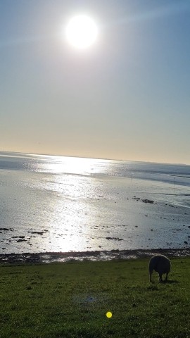 Deichblick Deichblick