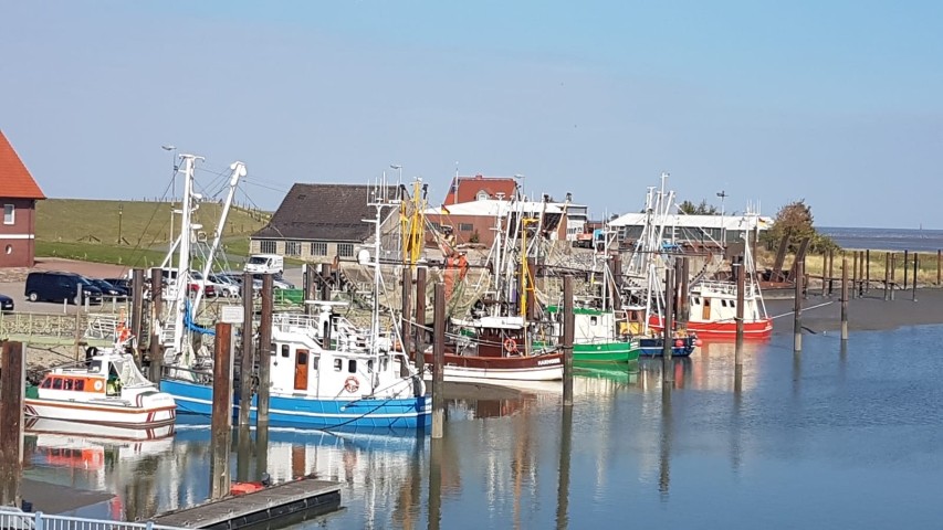 Fedderwardersiel Fedderwardersiel