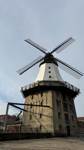 Die Stadt Kappeln  Die Stadt Kappeln