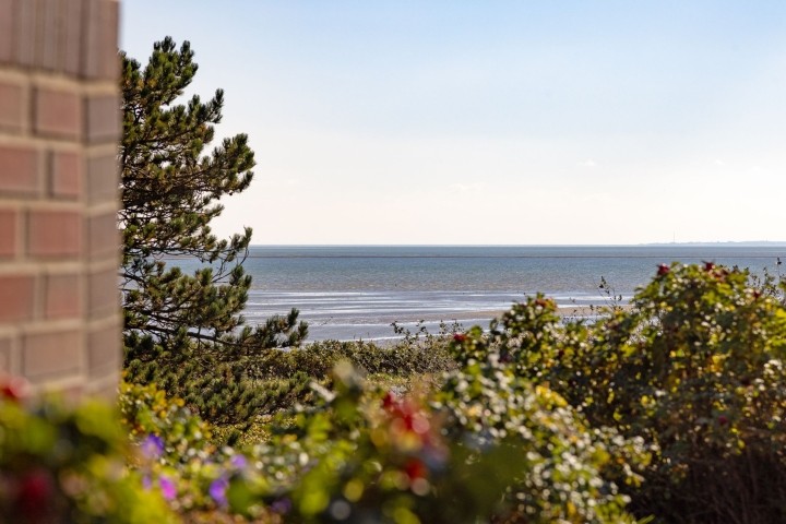 Terrasse mit Meerblick Terrasse mit Meerblick