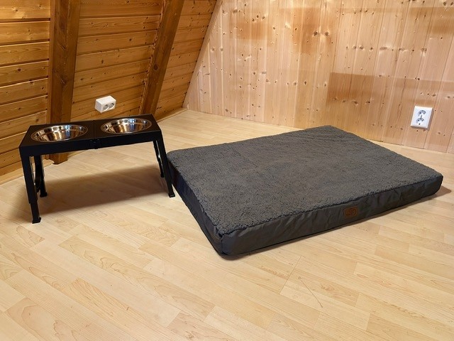 Für Hunde ist gesorgt