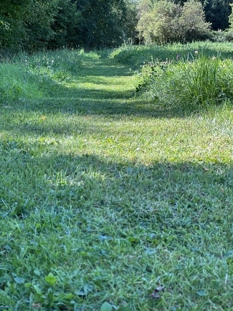 Hundespaziergänge direkt vom Haus aus möglich.