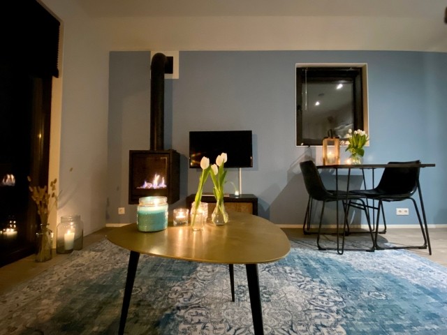 Gemütlicher Kaminofen 