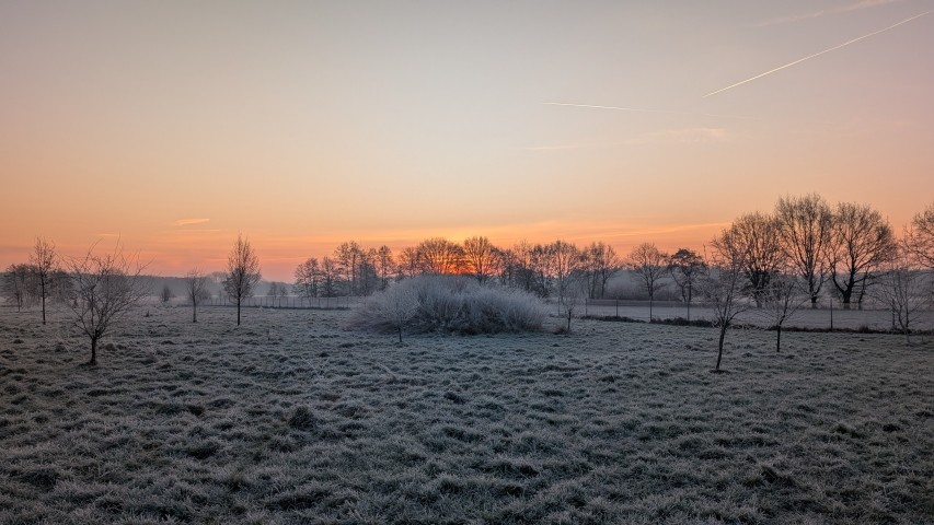 Große Freilaufwiese mit Winterfeeling