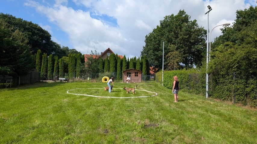Hundetrainingswiese mit Blick Richtung Haus