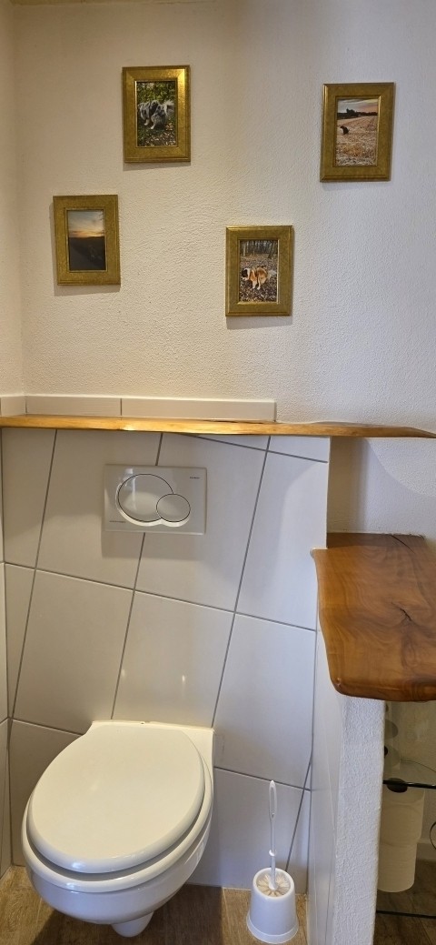 Hundekunst im Bad - eine Fotoaktion mit Gästen