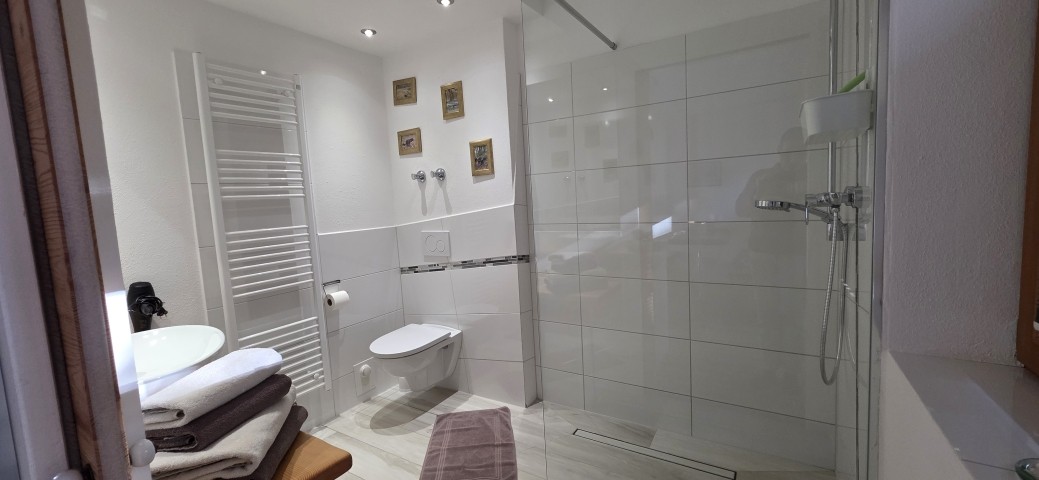 das geräumige Bad mit ebenerdiger Dusche