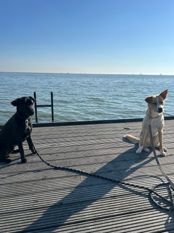 Anlage mit direktem Anschluß an das Meer