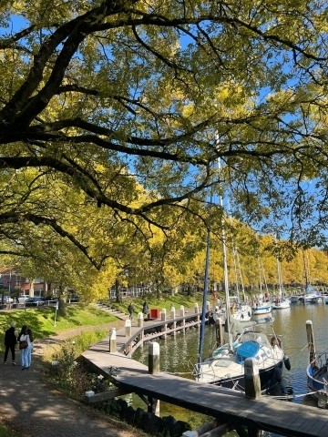 Schöne Naturkulisse in Enkhuizen