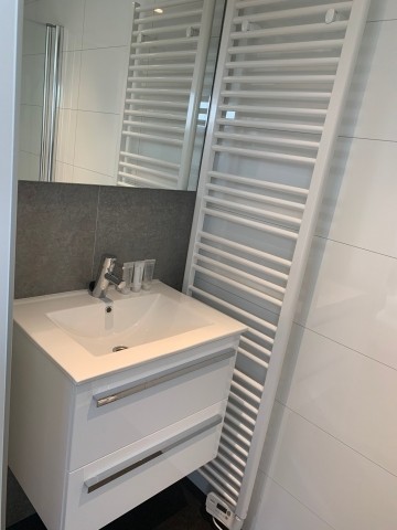 Badezimmer mit großem Waschbecken und Dusche