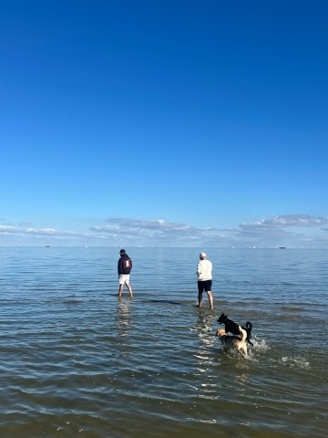 Hundestrand direkt in der Nähe