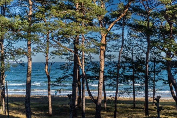 Ausblick auf die Ostsee