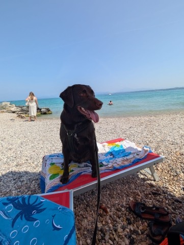 Apollo ist Jahresmaskottchen 2025 geworden : -)