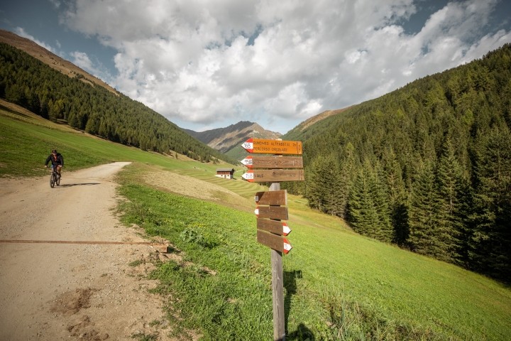Ihr Freispielplatz für Ihren Hund