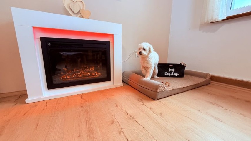 gemütliches Wohn-Esszimmer mit Elektrokamin