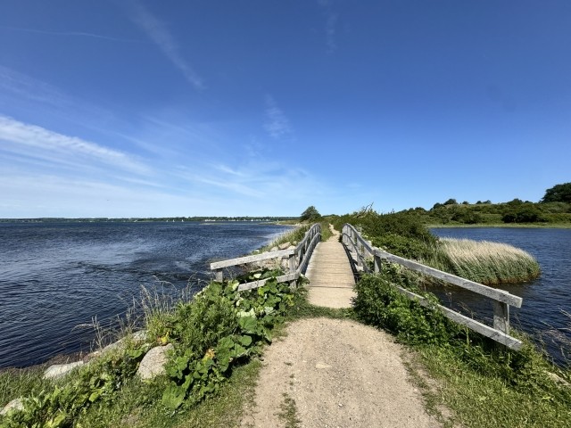 Die Flensburger Förde: Hier Holnisspitze