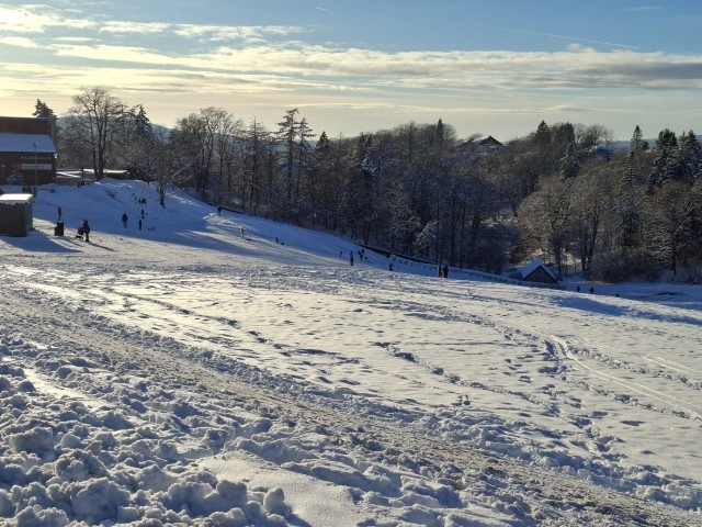 Rodelberg Sankt Andreasberg 
