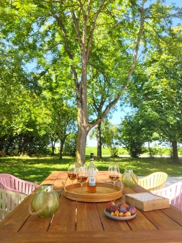 Schöne Stunden im Grünen