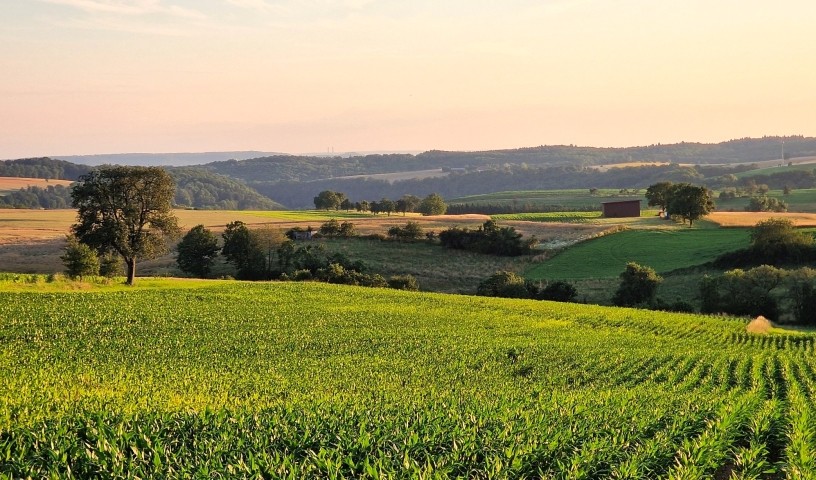 Weite hohenloher Landschaft