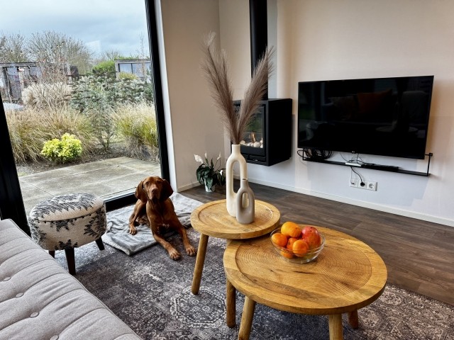 Hunde sind hier auch recht herzlich willkommen. 