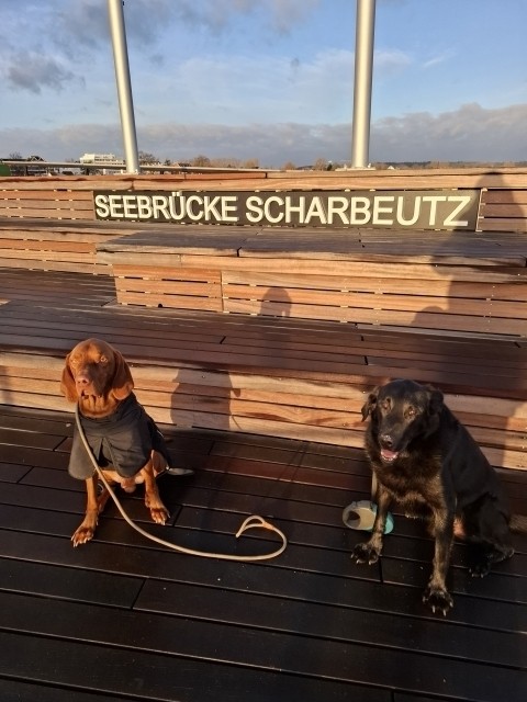 Sir Henry und Emil auf der Seebrücke.