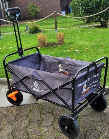 Möwennest-20 Express für Kinder