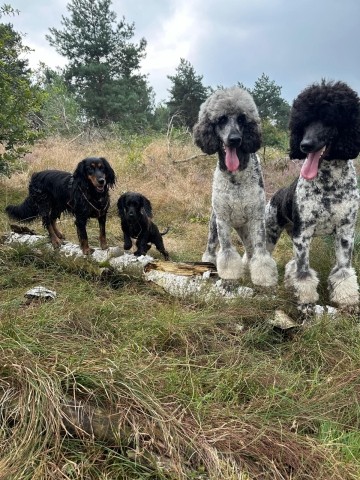 Spass fuer Gross und Klein!