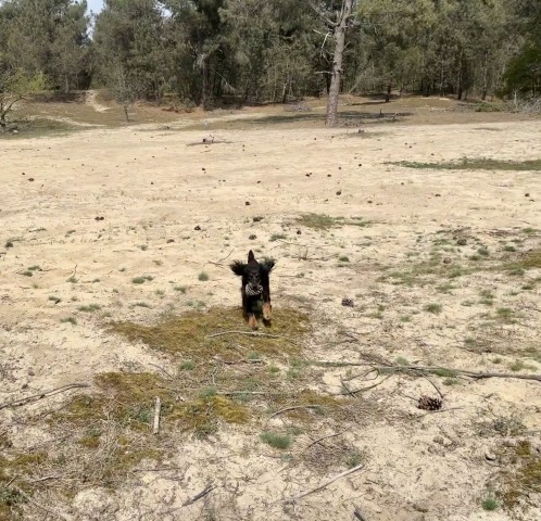 Unsere Region ist sehr sandreich - Tobespass garantiert!