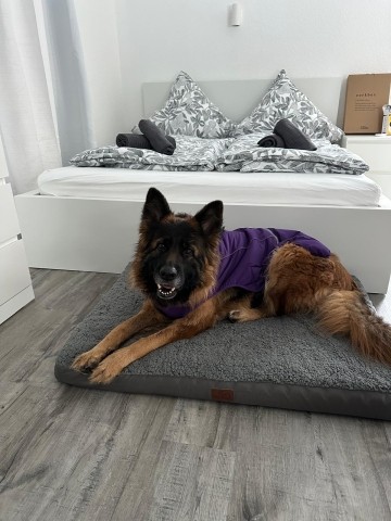 Ausruhen nach der Schneewanderung